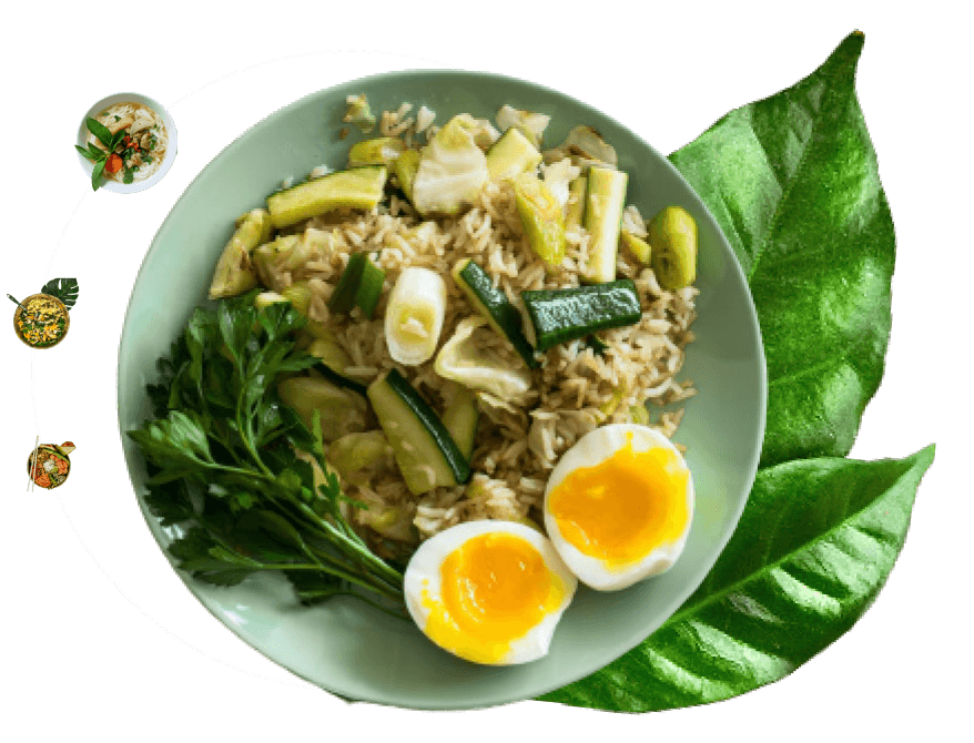 Food Dish